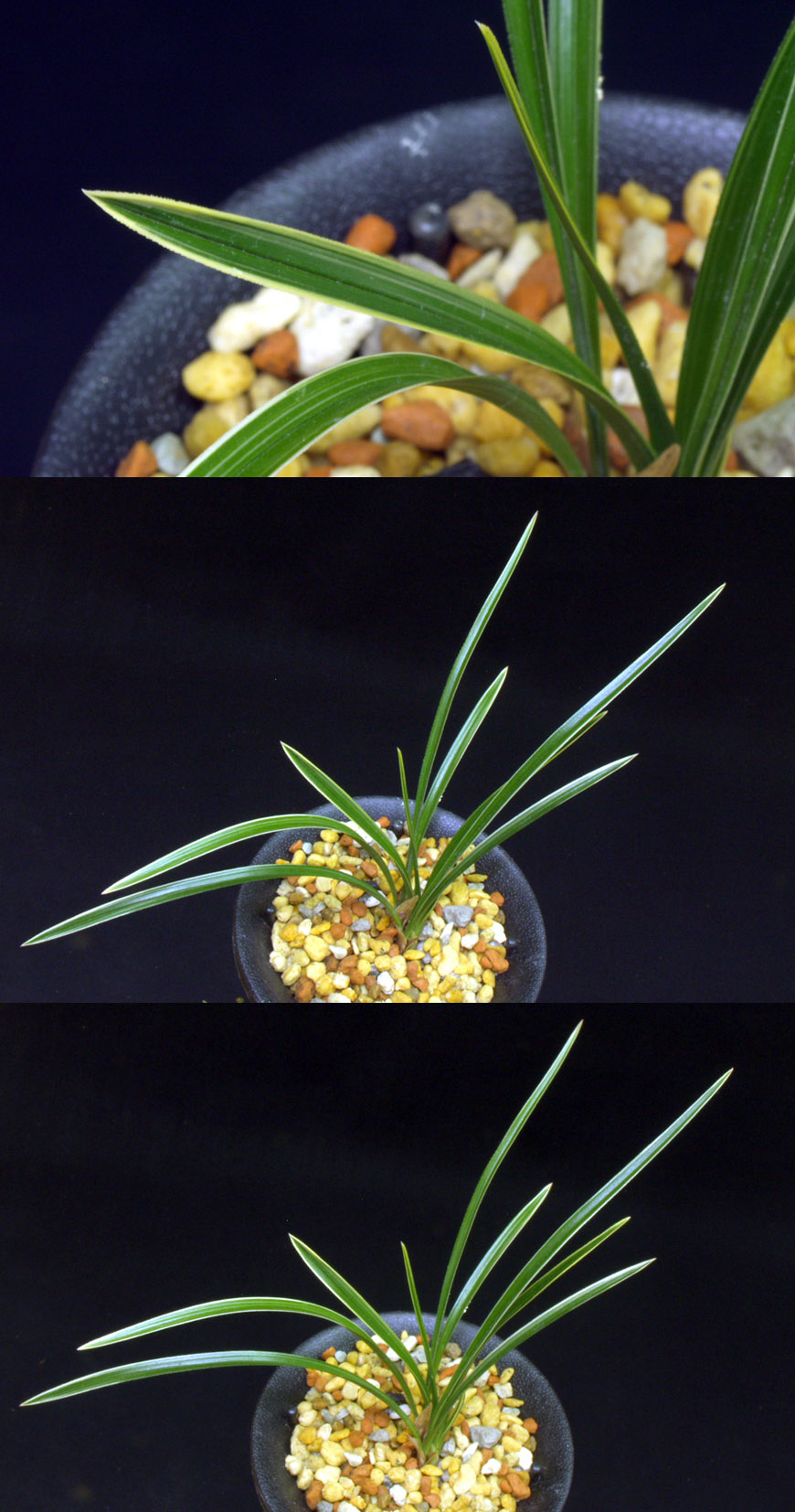 ������ ū������ �� �� �ֽ��ϴ�.