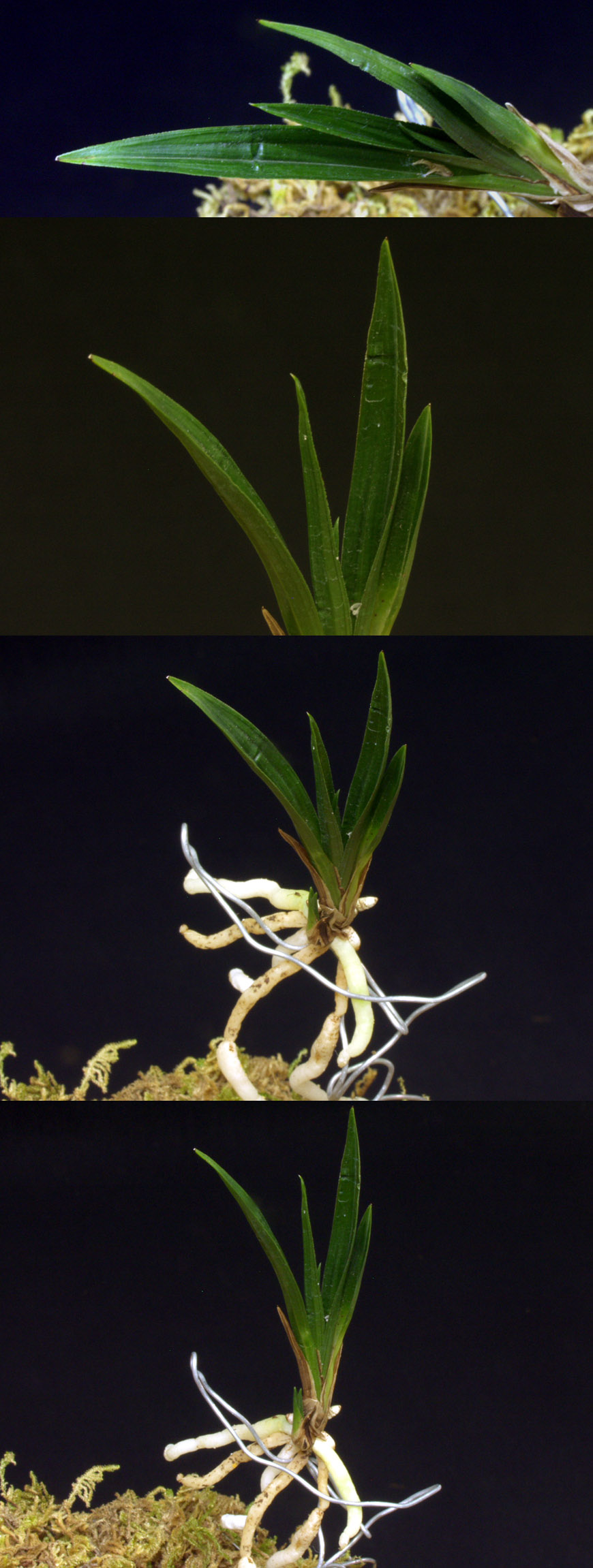 ������ ū������ �� �� �ֽ��ϴ�.