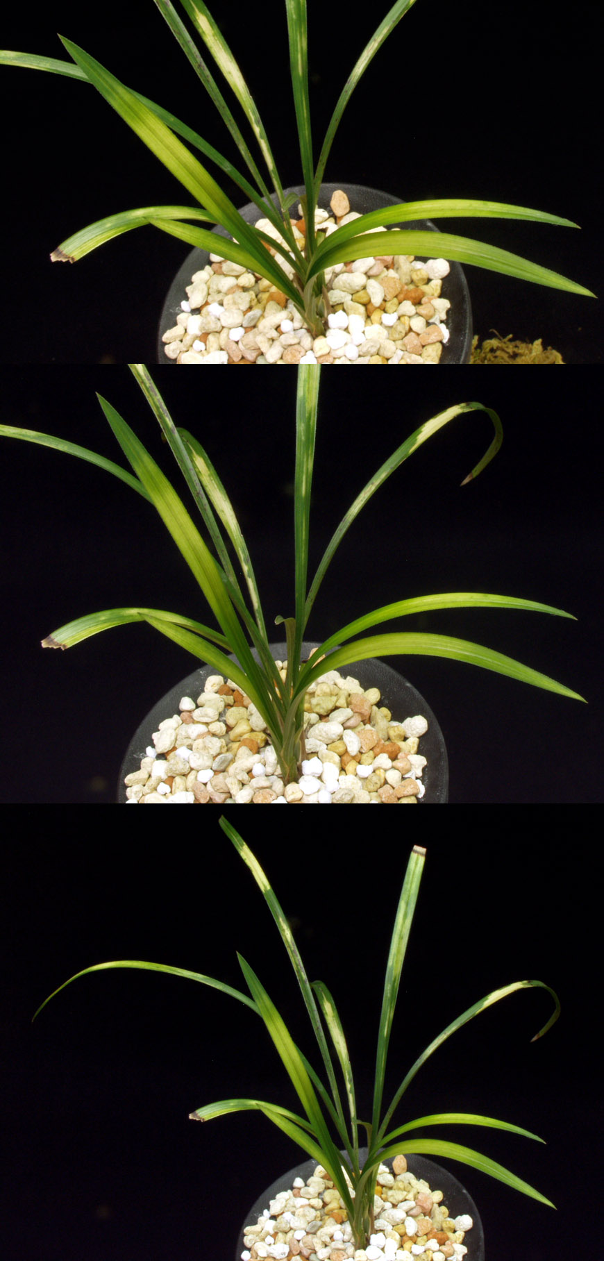 ������ ū������ �� �� �ֽ��ϴ�.