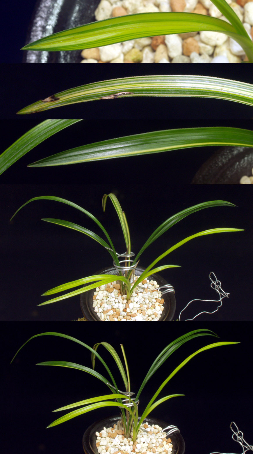 ������ ū������ �� �� �ֽ��ϴ�.