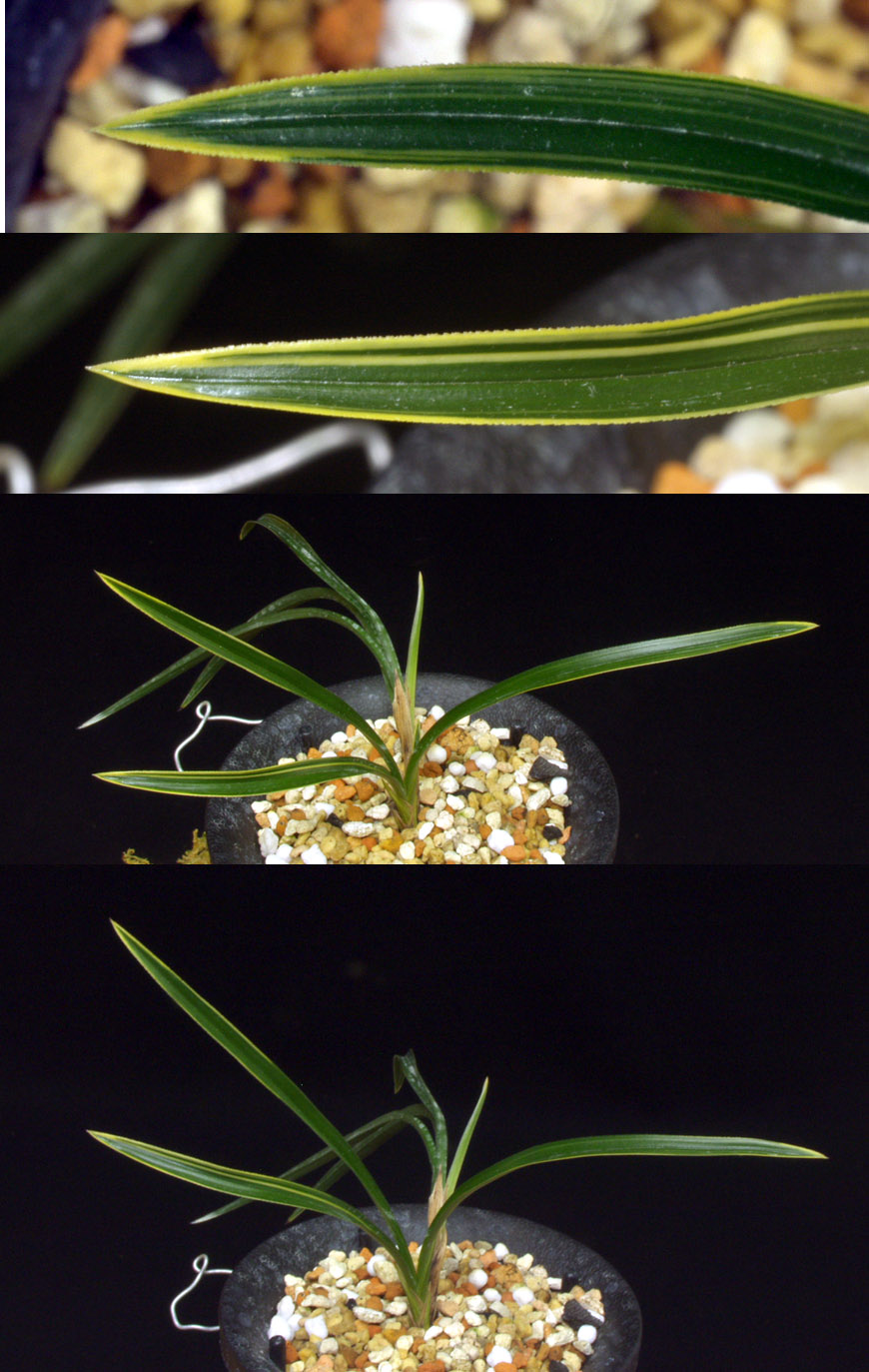 ������ ū������ �� �� �ֽ��ϴ�.