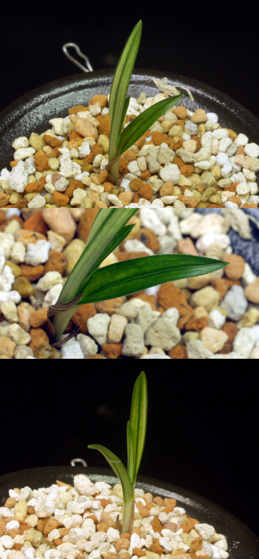 ������ ū������ �� �� �ֽ��ϴ�.