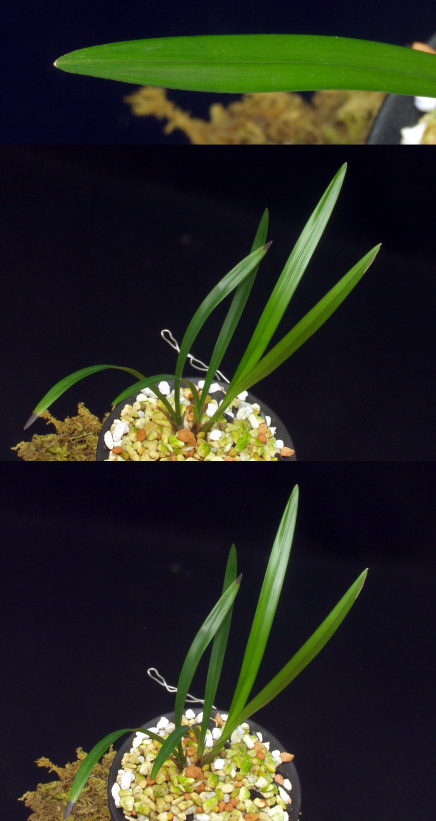 ������ ū������ �� �� �ֽ��ϴ�.