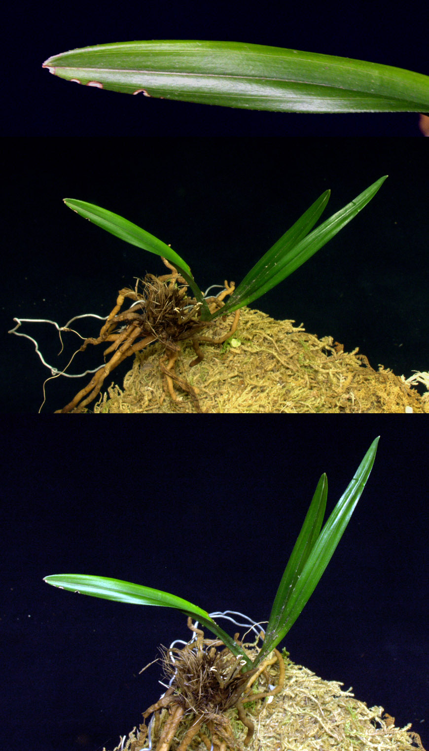 ������ ū������ �� �� �ֽ��ϴ�.