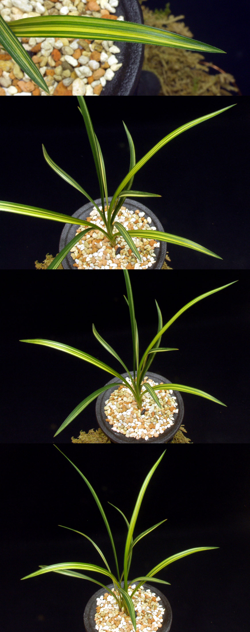 ������ ū������ �� �� �ֽ��ϴ�.