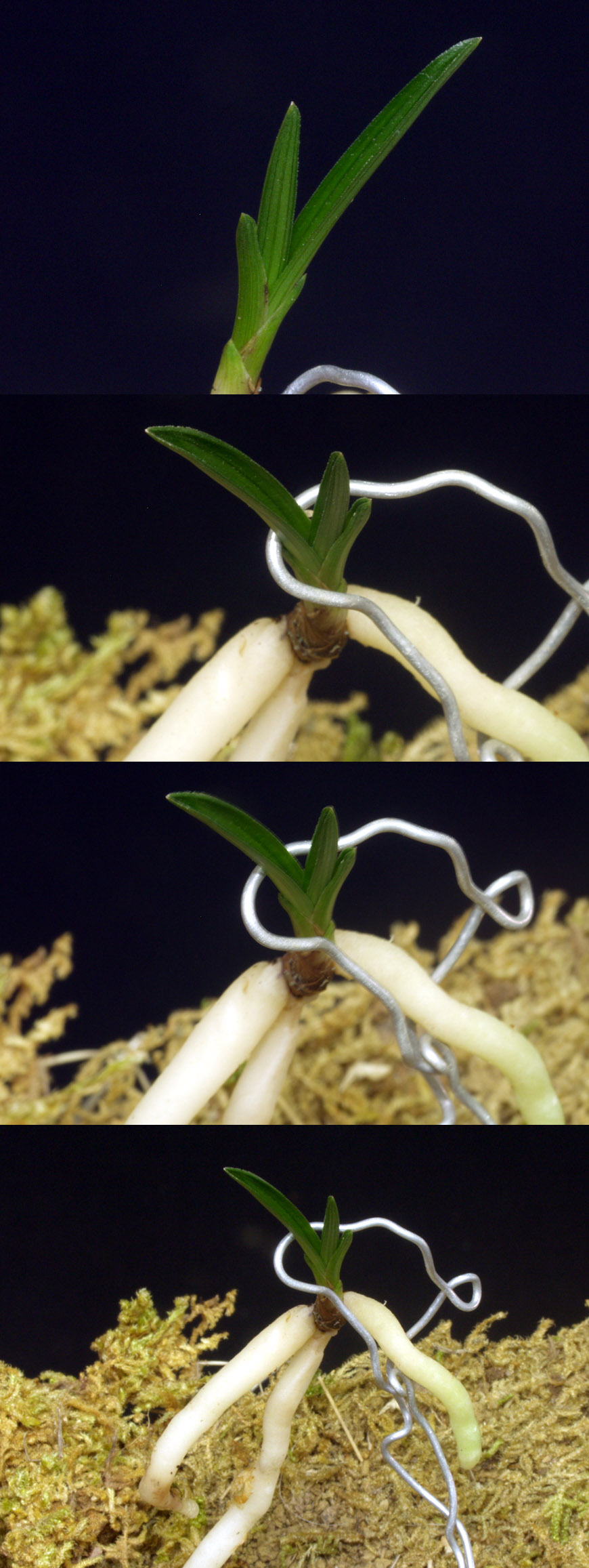 ������ ū������ �� �� �ֽ��ϴ�.