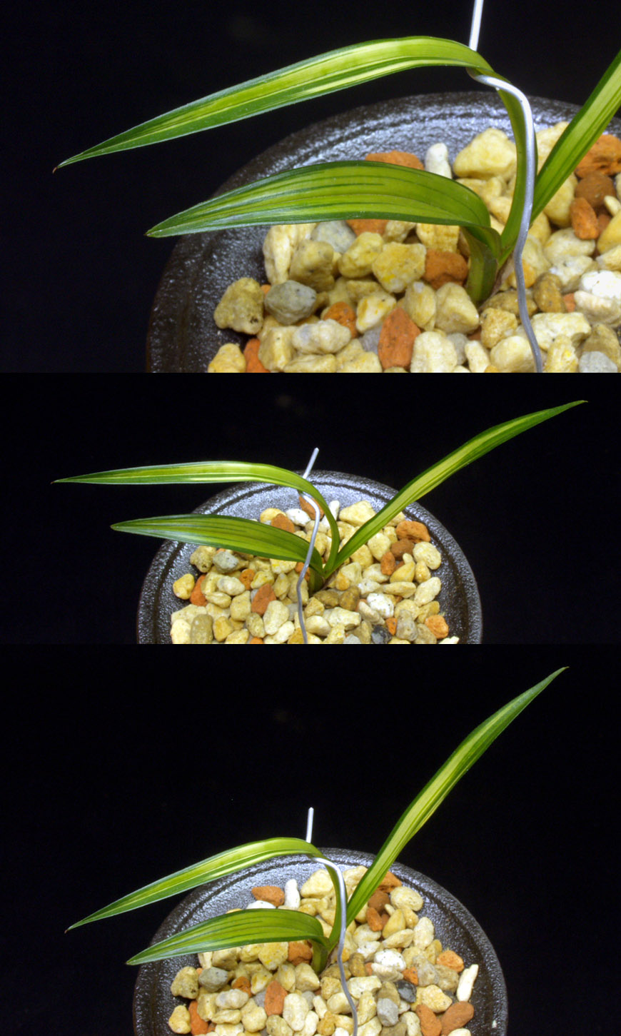 ������ ū������ �� �� �ֽ��ϴ�.