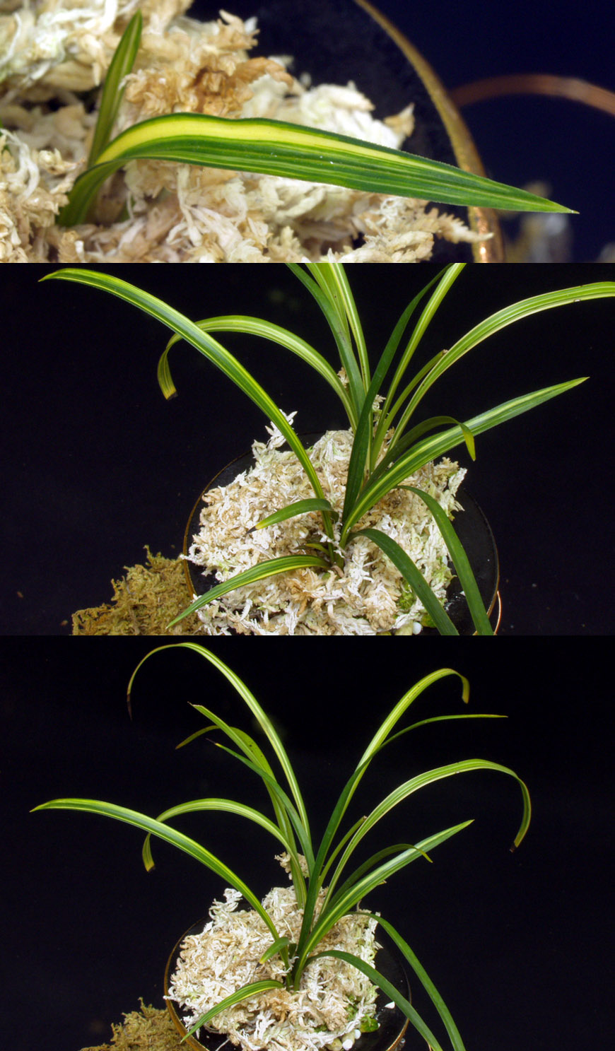 ������ ū������ �� �� �ֽ��ϴ�.