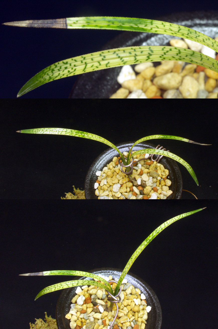 ������ ū������ �� �� �ֽ��ϴ�.