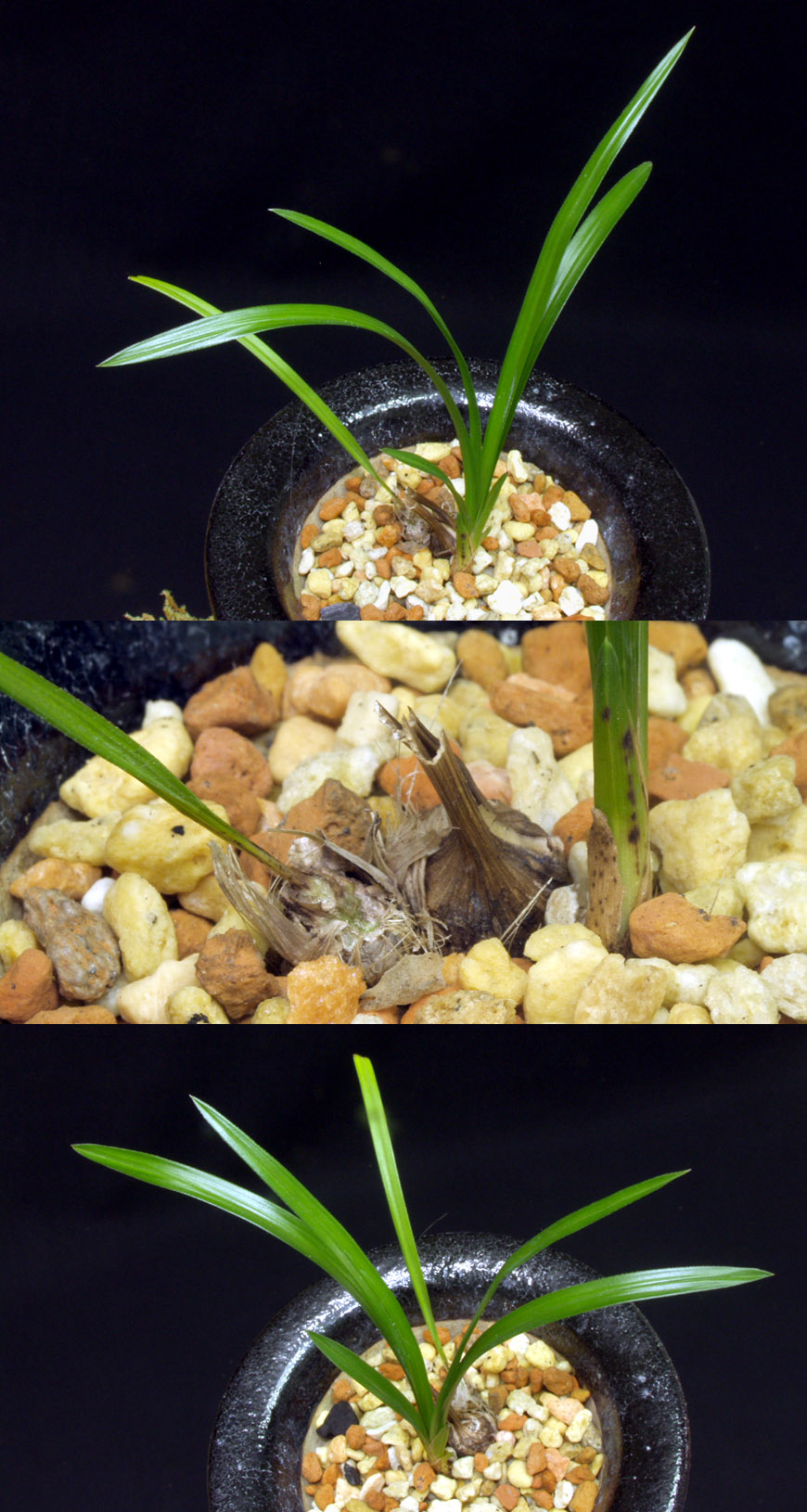 ������ ū������ �� �� �ֽ��ϴ�.