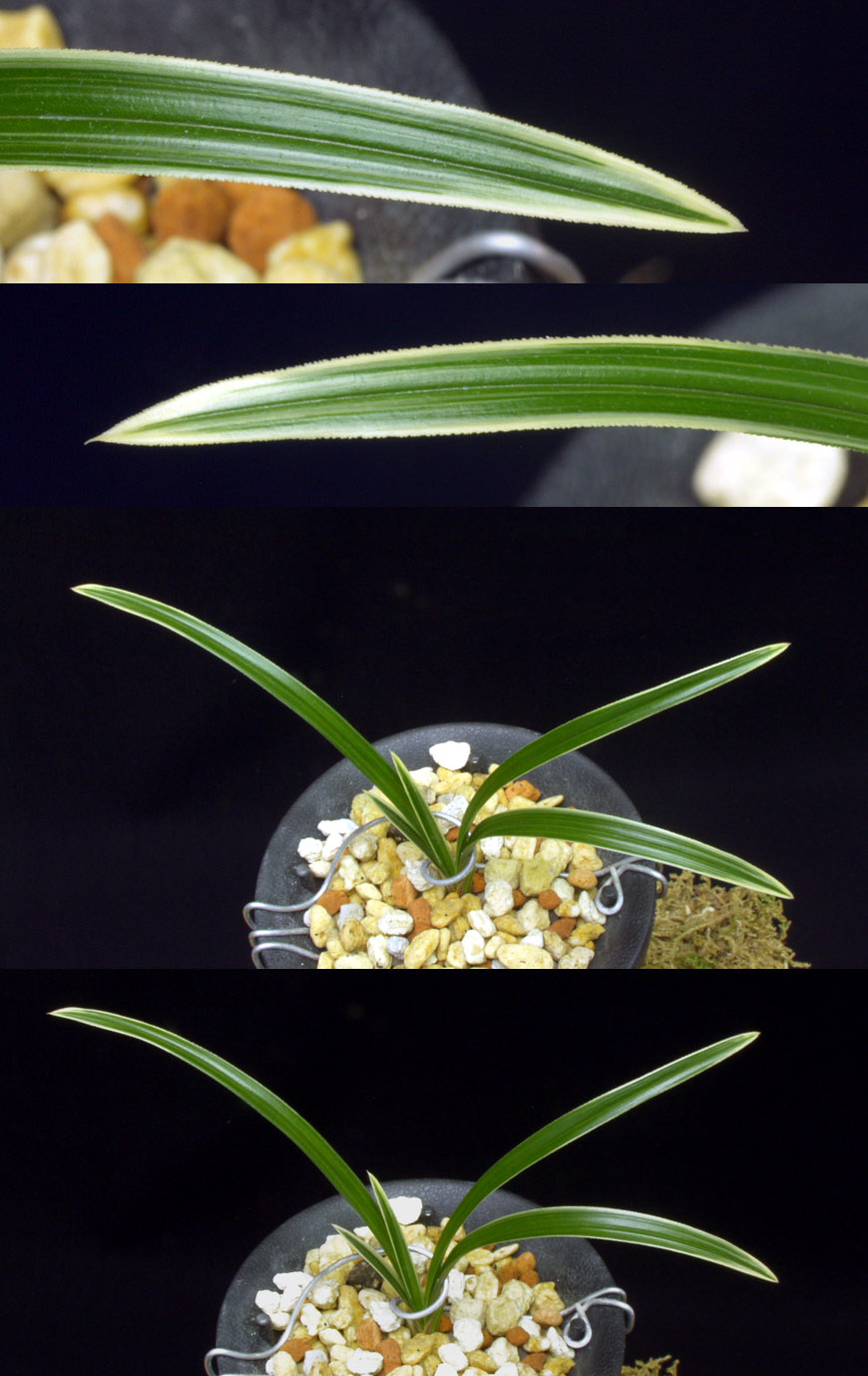 ������ ū������ �� �� �ֽ��ϴ�.