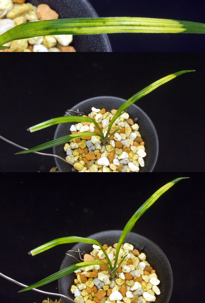 ������ ū������ �� �� �ֽ��ϴ�.