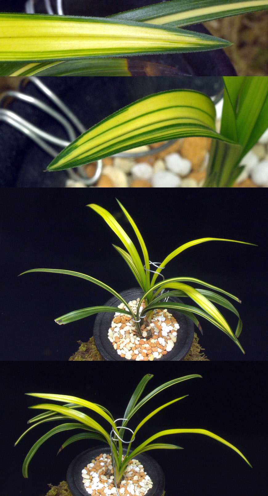 ������ ū������ �� �� �ֽ��ϴ�.