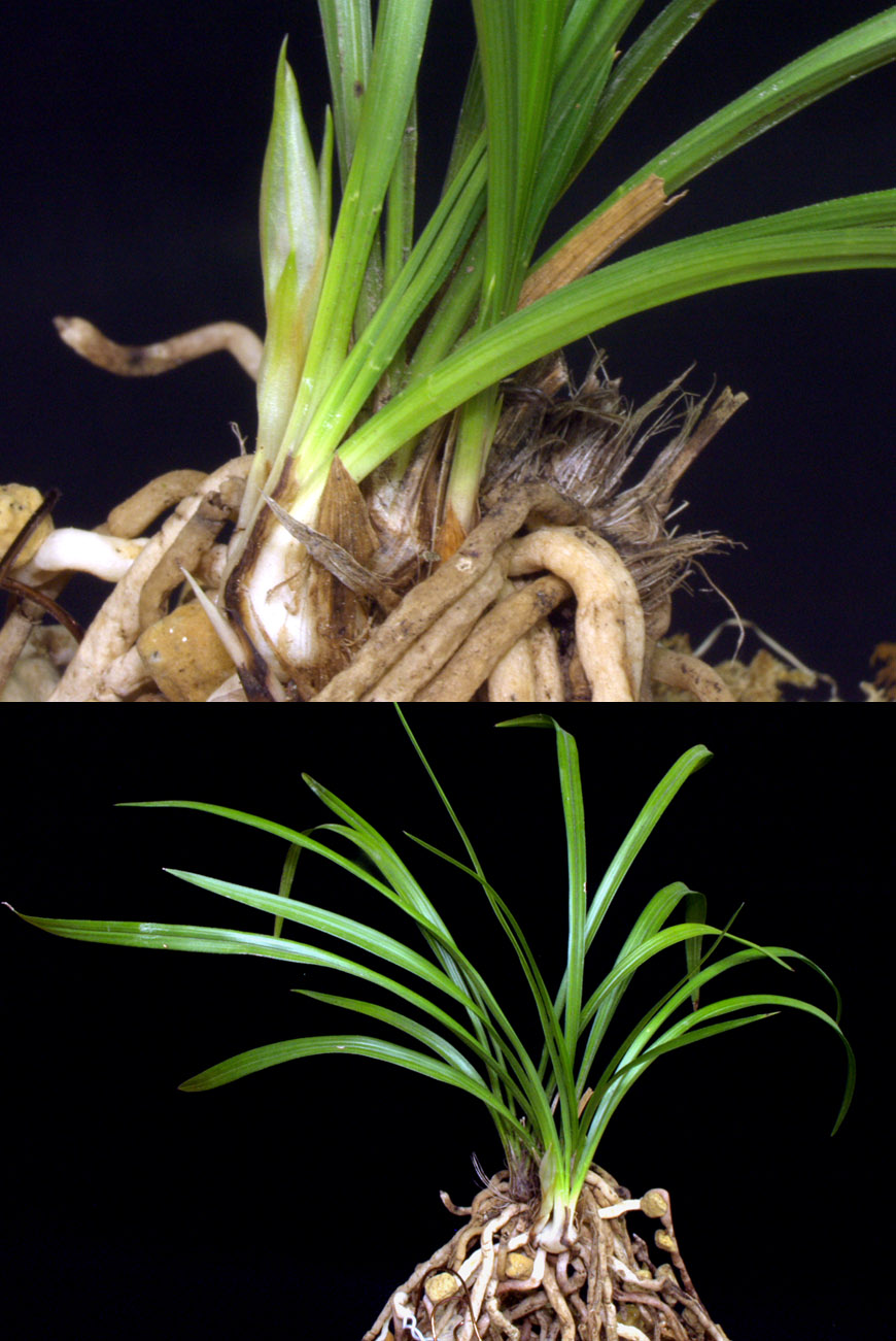 ������ ū������ �� �� �ֽ��ϴ�.