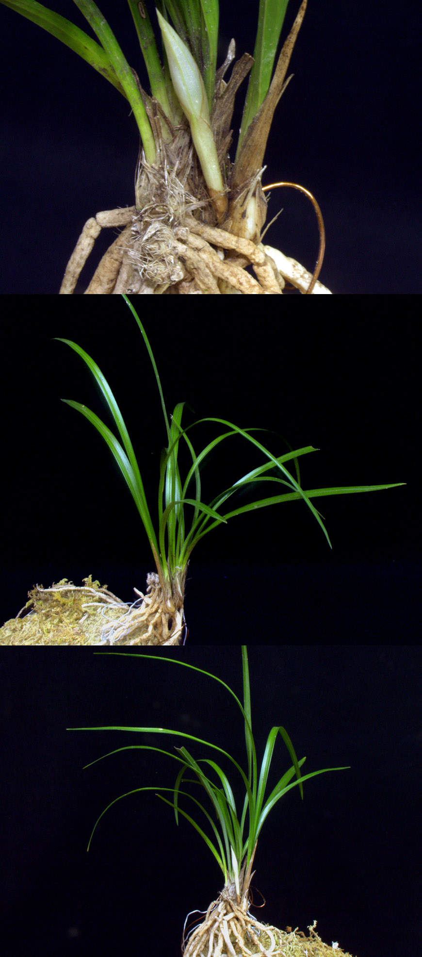 ������ ū������ �� �� �ֽ��ϴ�.