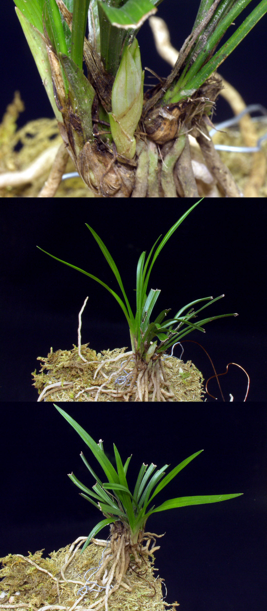 ������ ū������ �� �� �ֽ��ϴ�.