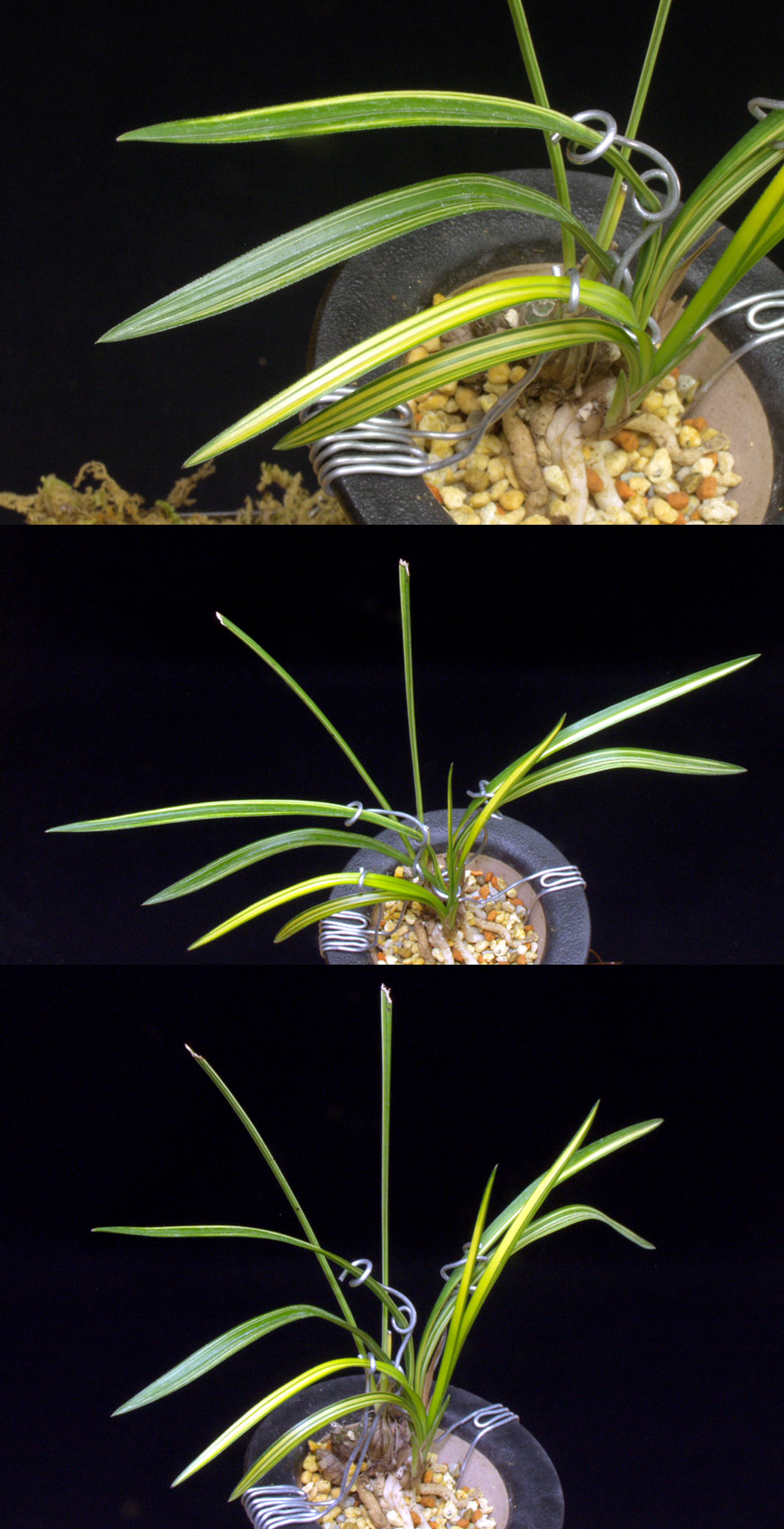 ������ ū������ �� �� �ֽ��ϴ�.