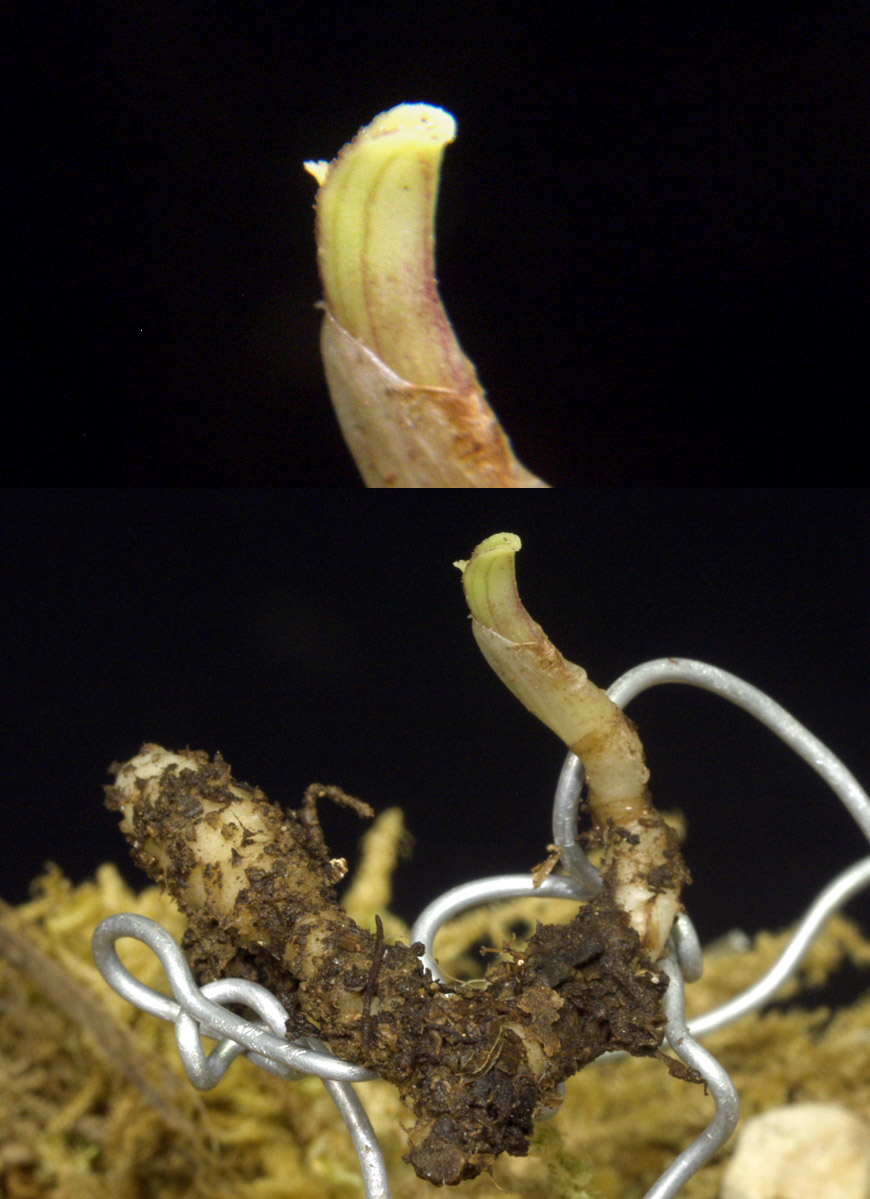 ������ ū������ �� �� �ֽ��ϴ�.