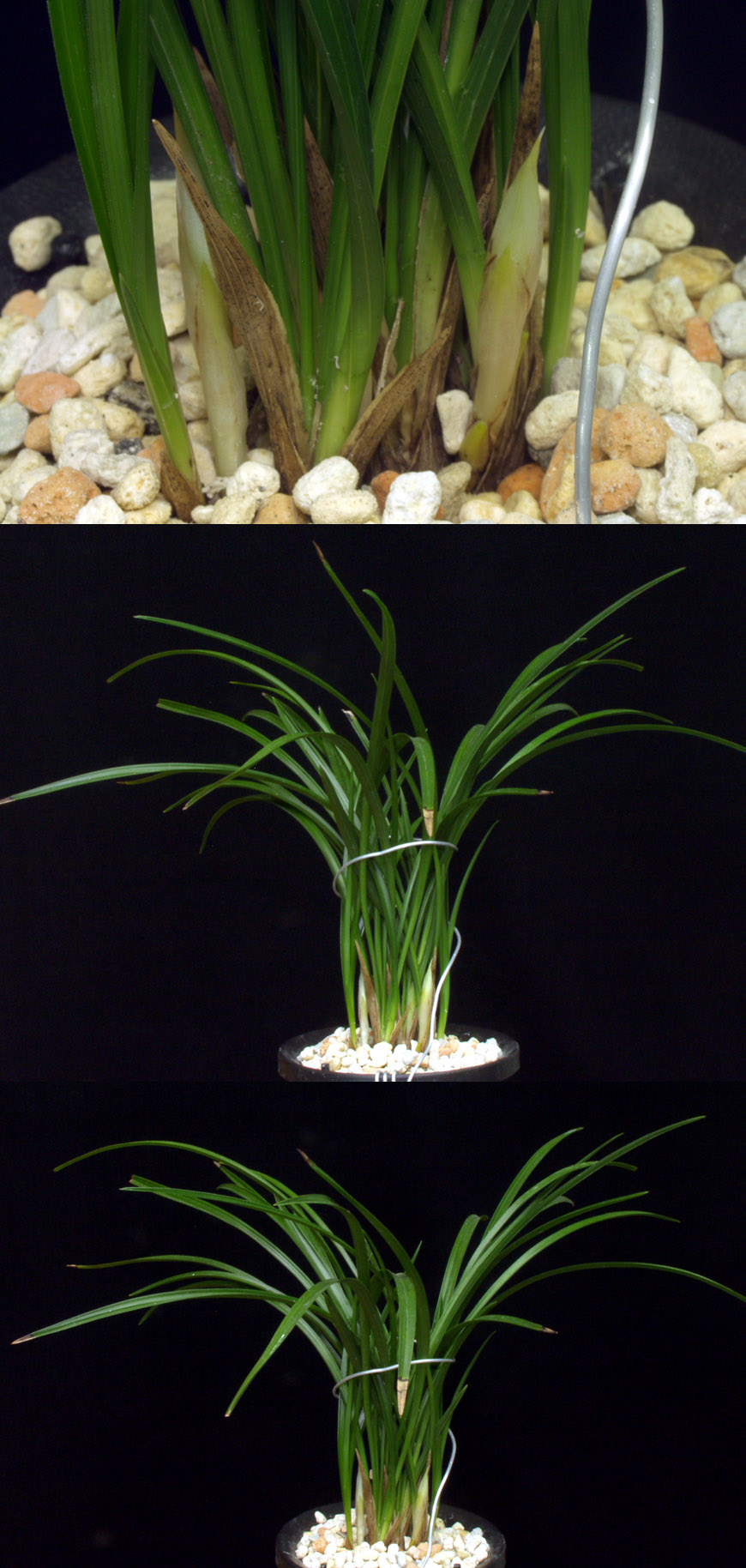 ������ ū������ �� �� �ֽ��ϴ�.