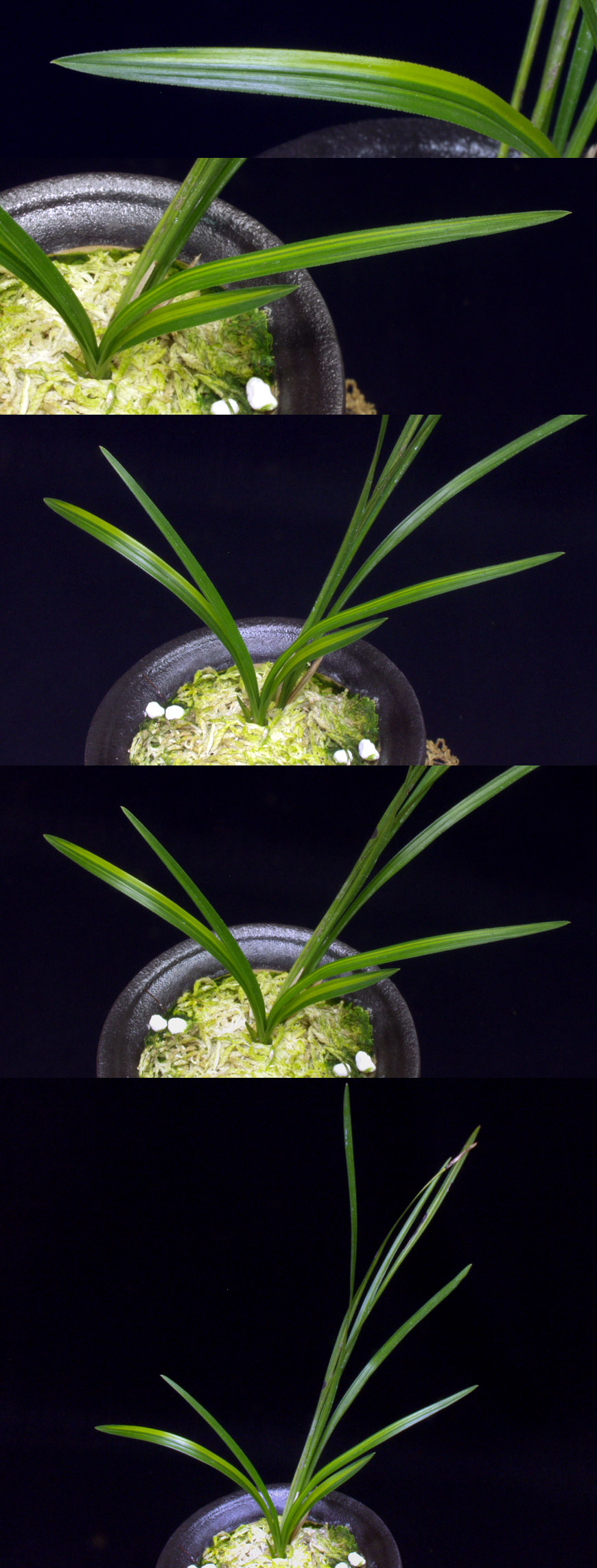 ������ ū������ �� �� �ֽ��ϴ�.