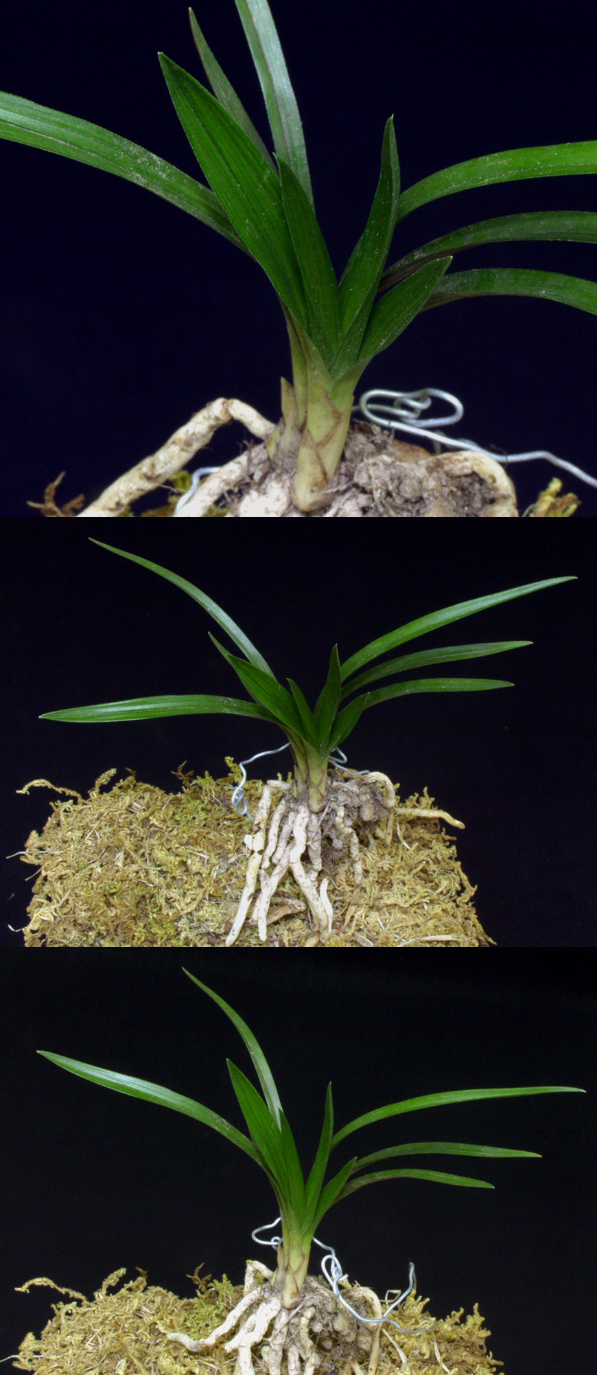 ������ ū������ �� �� �ֽ��ϴ�.