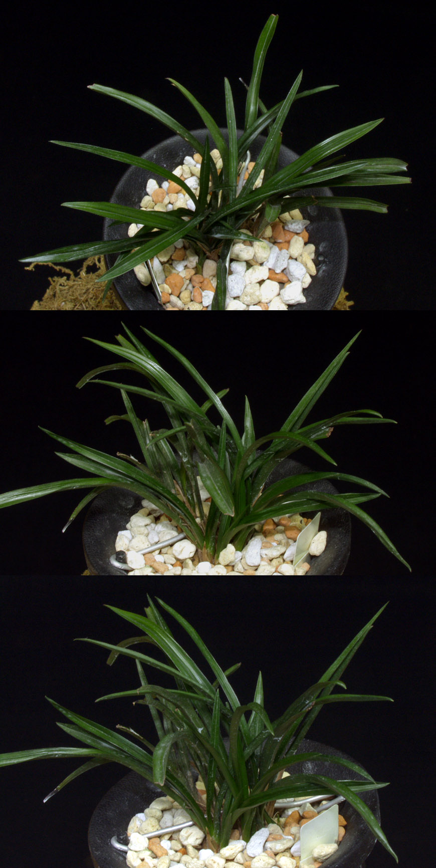 ������ ū������ �� �� �ֽ��ϴ�.