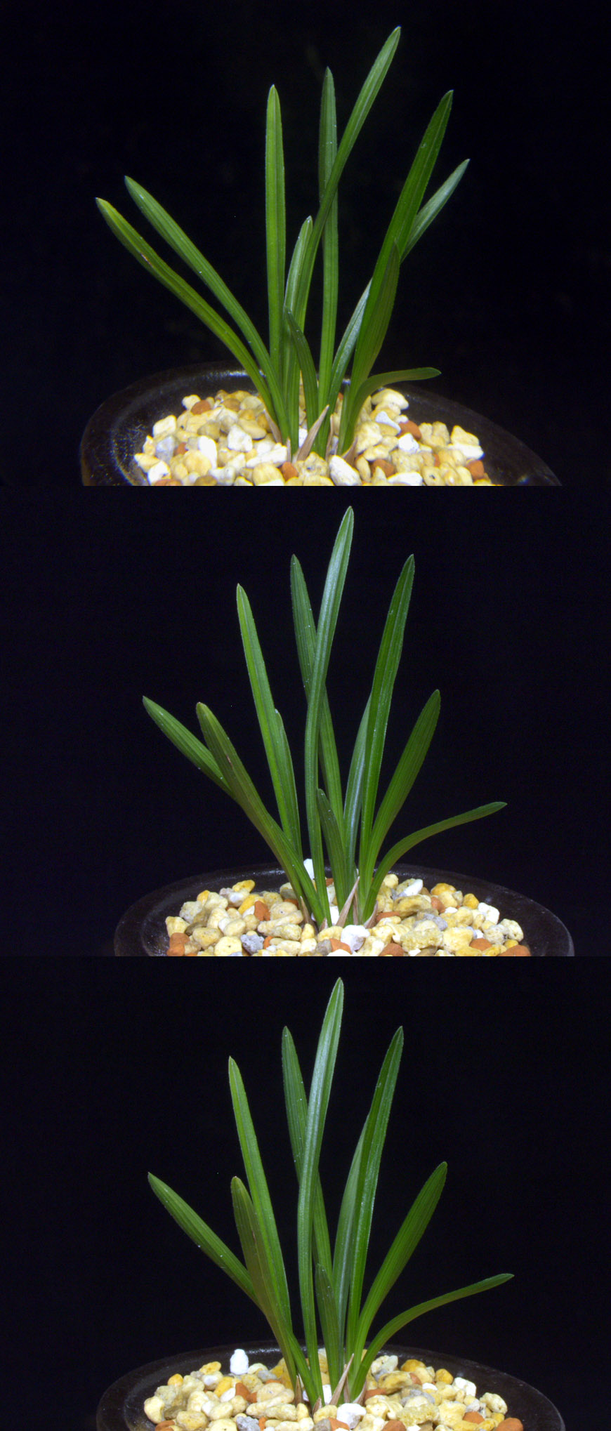 ������ ū������ �� �� �ֽ��ϴ�.