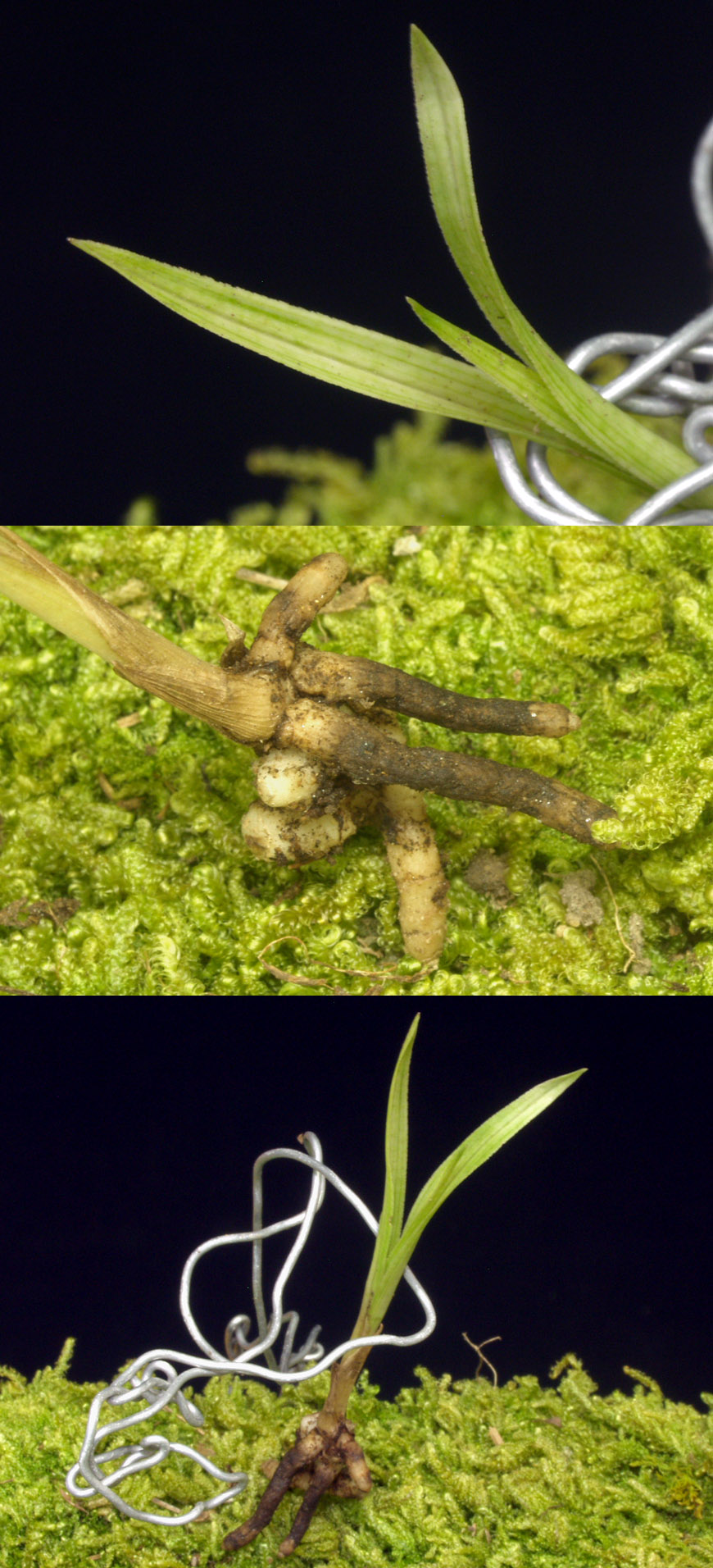 ������ ū������ �� �� �ֽ��ϴ�.