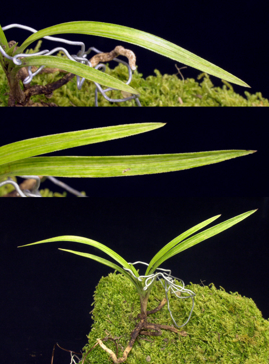 ������ ū������ �� �� �ֽ��ϴ�.