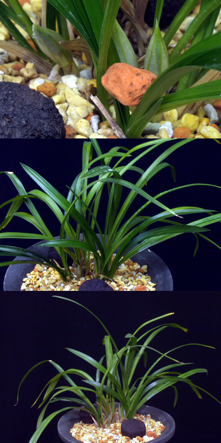 ������ ū������ �� �� �ֽ��ϴ�.