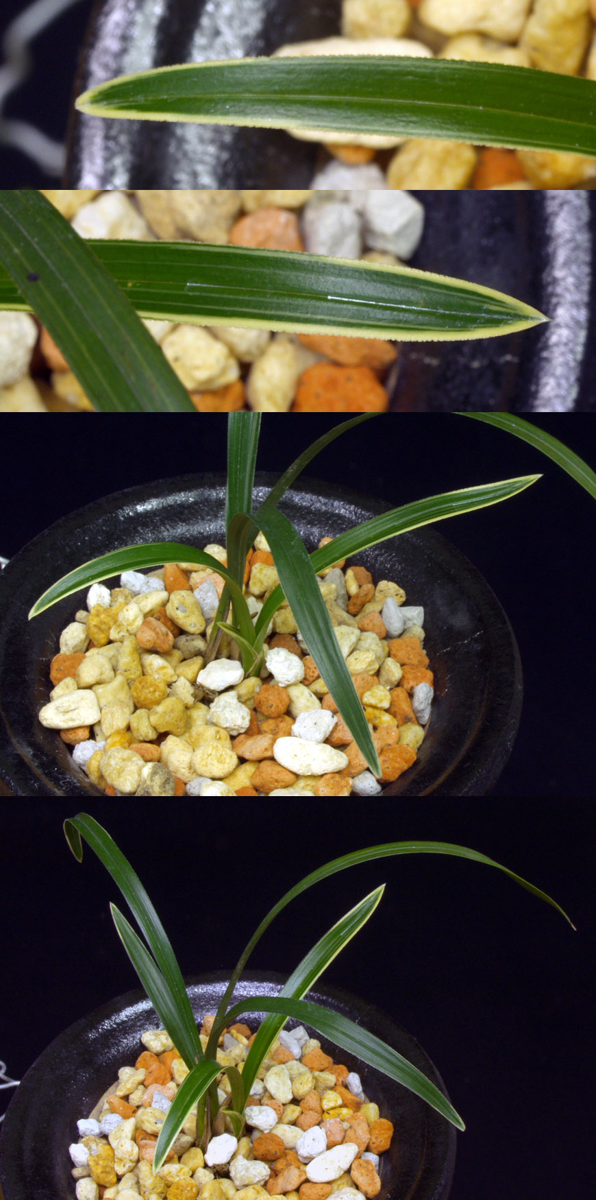 ������ ū������ �� �� �ֽ��ϴ�.