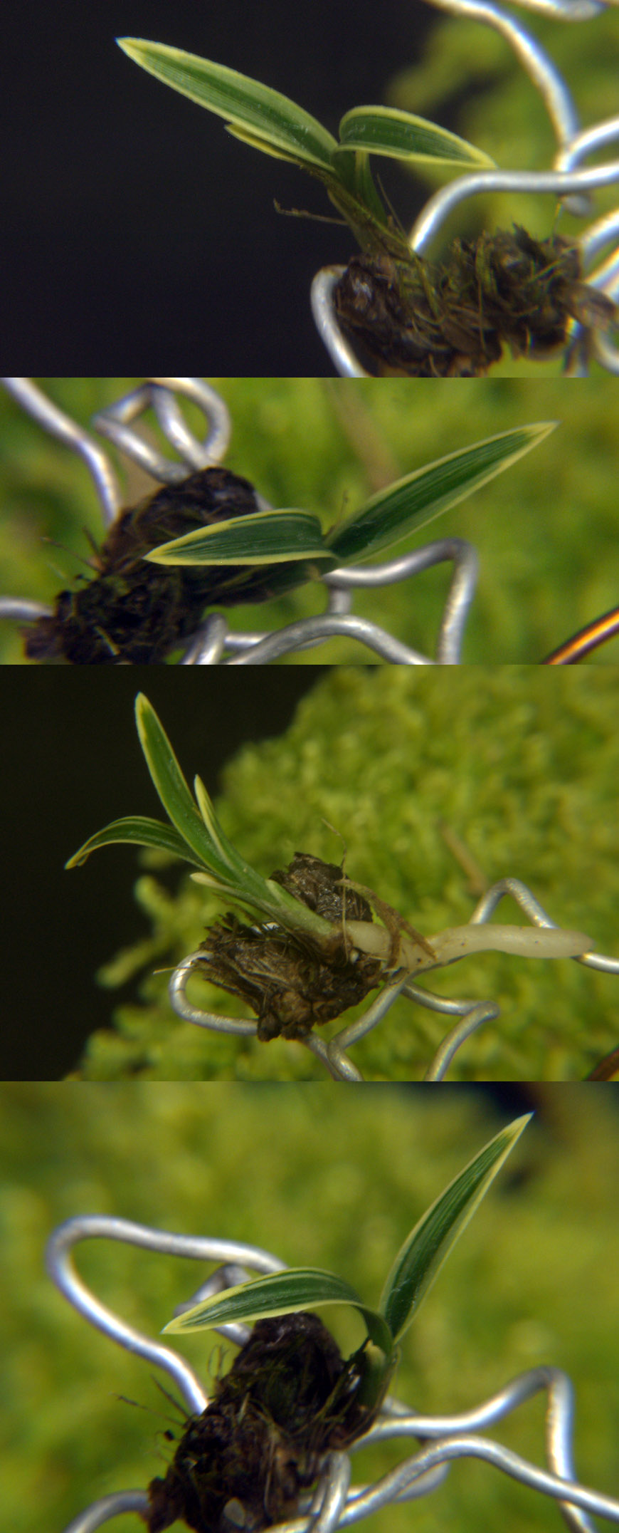 ������ ū������ �� �� �ֽ��ϴ�.