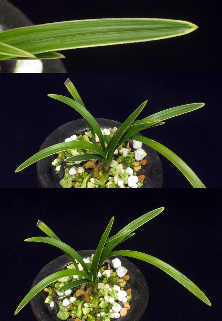 ������ ū������ �� �� �ֽ��ϴ�.