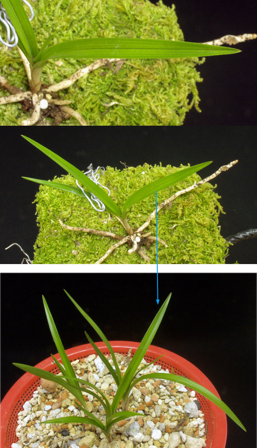 ������ ū������ �� �� �ֽ��ϴ�.