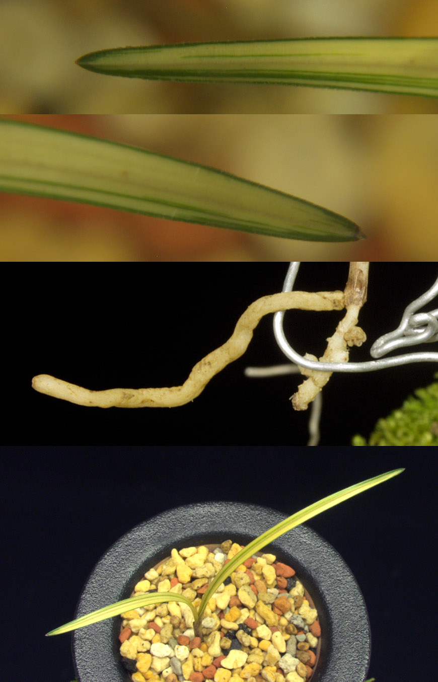 ������ ū������ �� �� �ֽ��ϴ�.