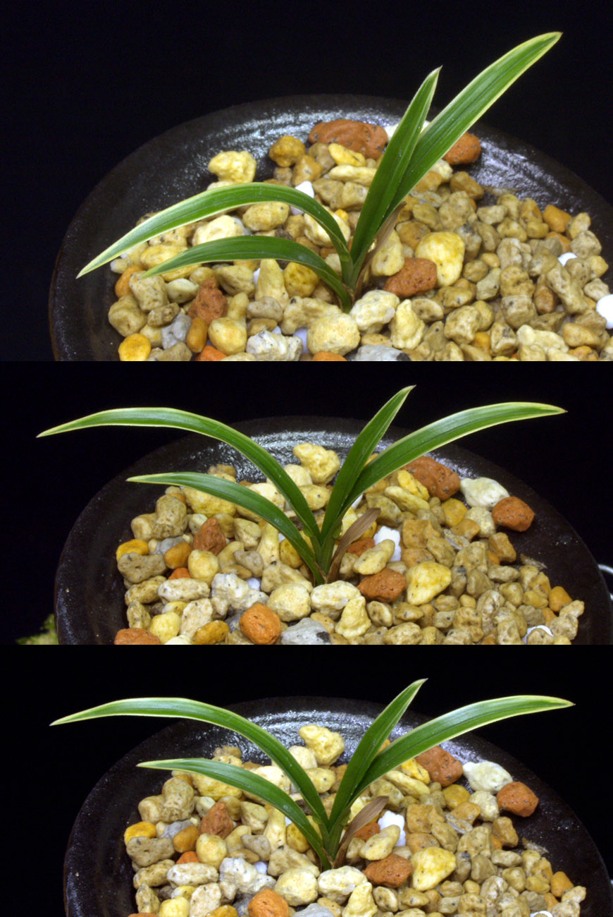 ������ ū������ �� �� �ֽ��ϴ�.