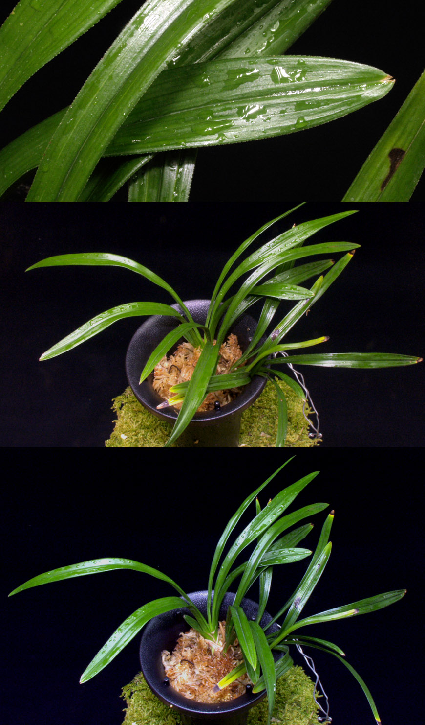 ������ ū������ �� �� �ֽ��ϴ�.