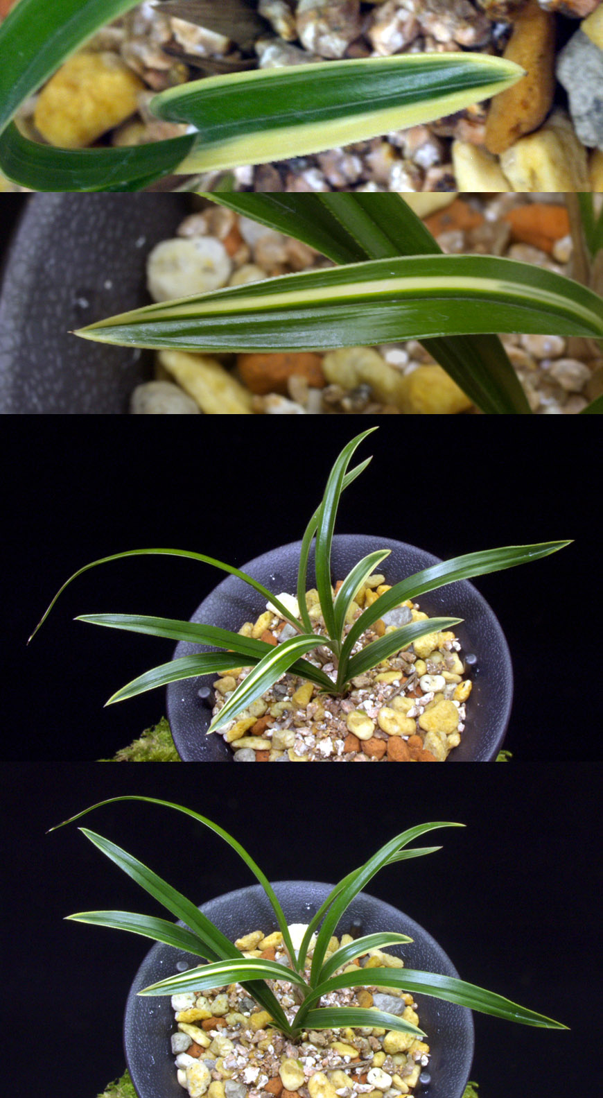 ������ ū������ �� �� �ֽ��ϴ�.