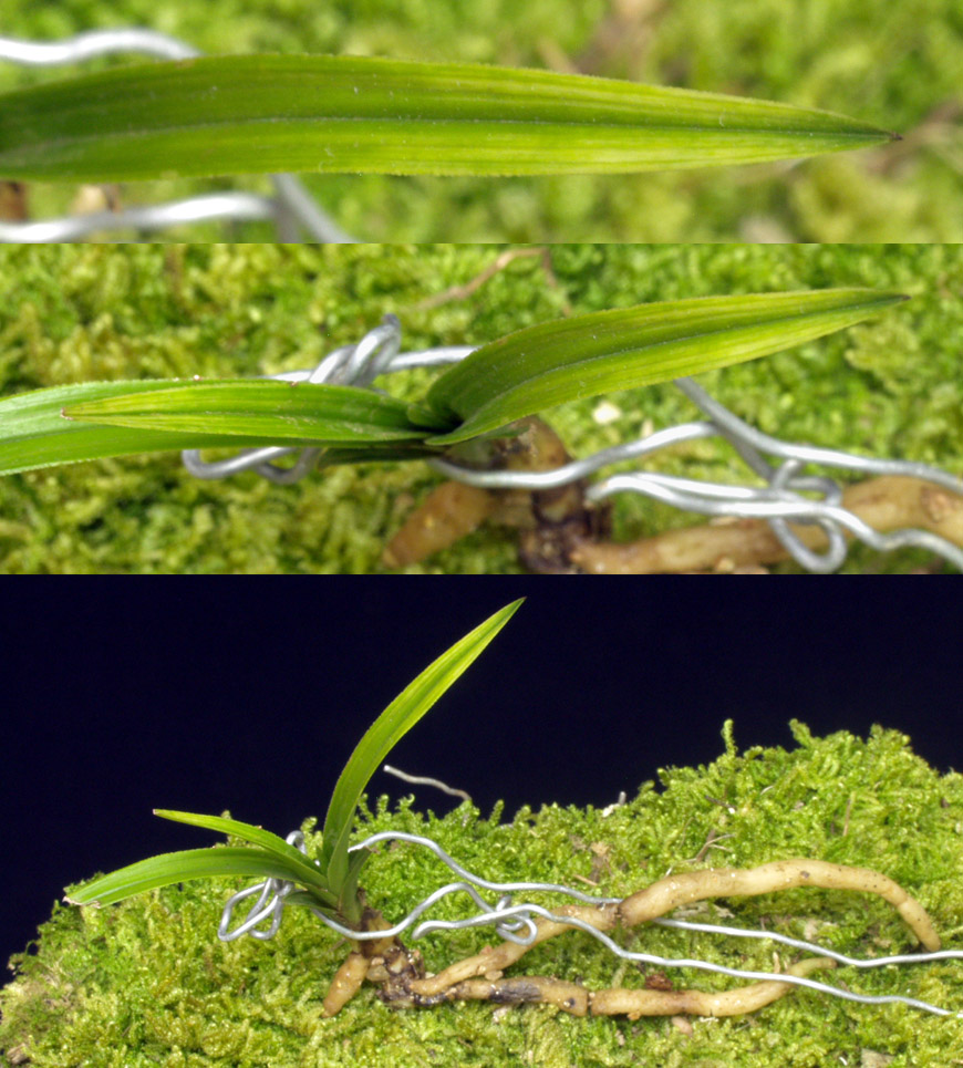 ������ ū������ �� �� �ֽ��ϴ�.