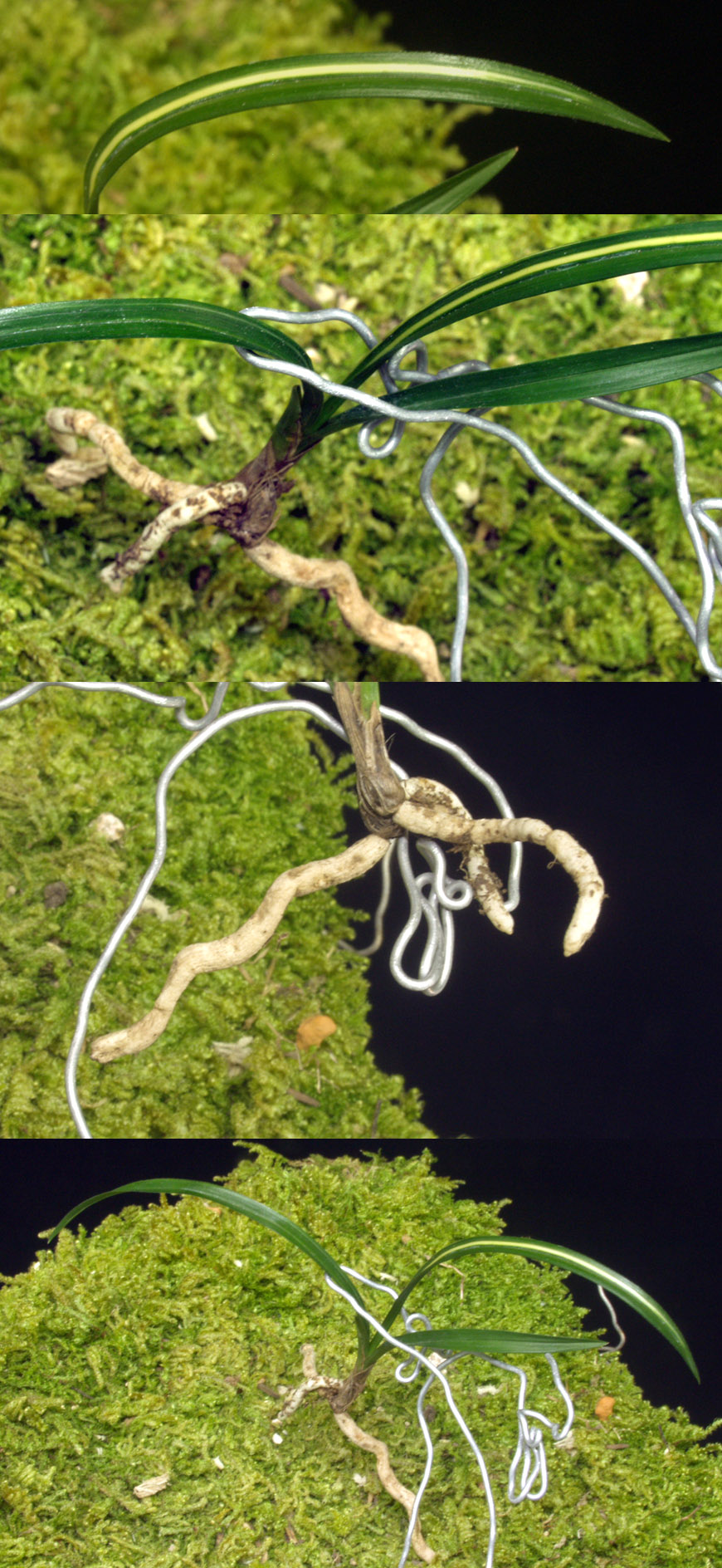 ������ ū������ �� �� �ֽ��ϴ�.