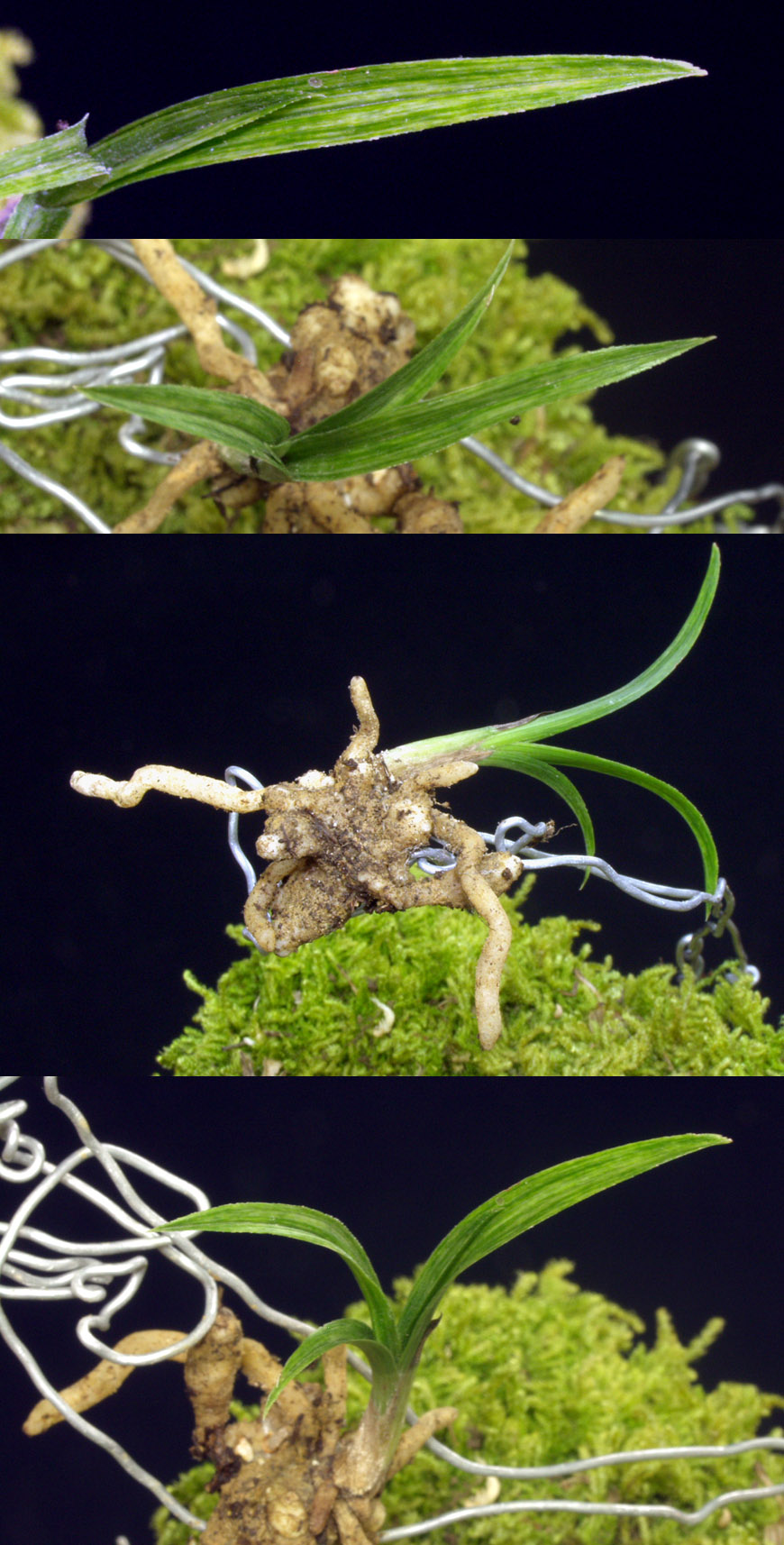 ������ ū������ �� �� �ֽ��ϴ�.