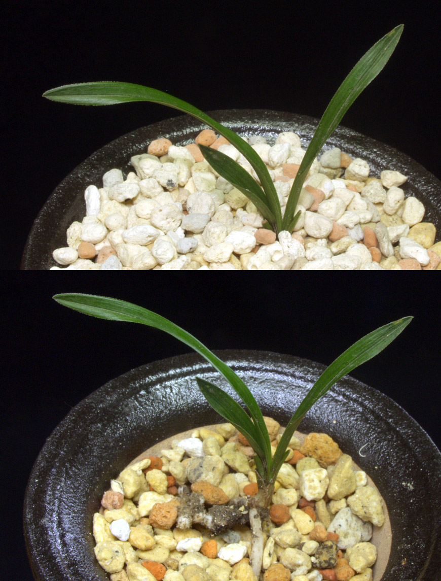 ������ ū������ �� �� �ֽ��ϴ�.