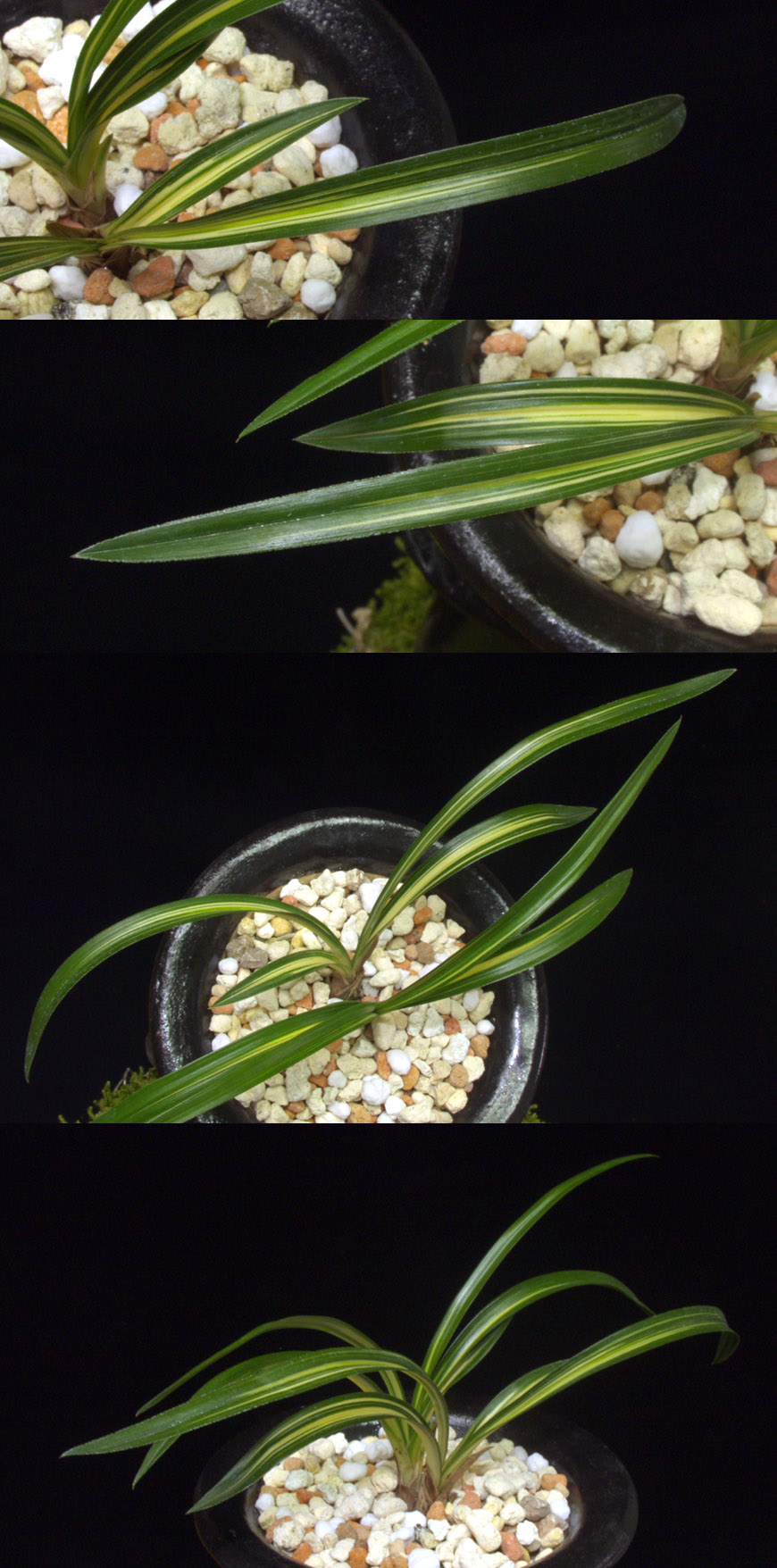 ������ ū������ �� �� �ֽ��ϴ�.