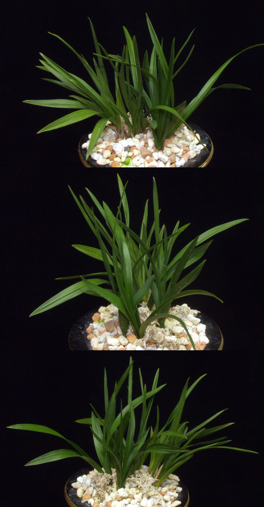 ������ ū������ �� �� �ֽ��ϴ�.