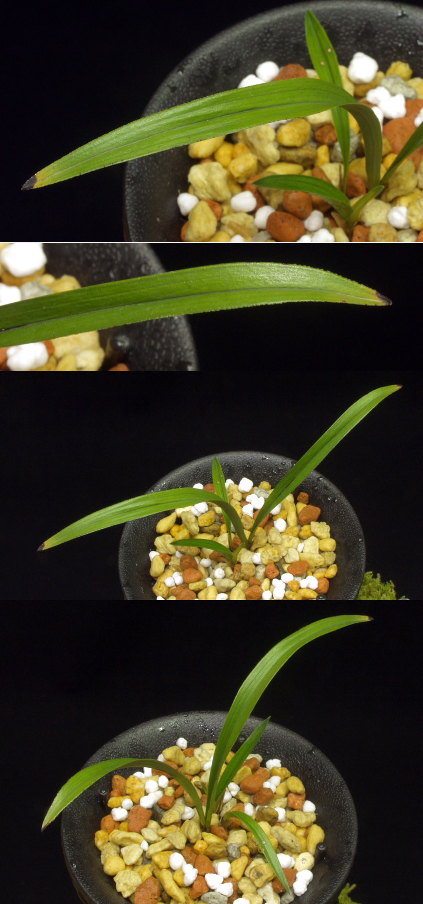 ������ ū������ �� �� �ֽ��ϴ�.