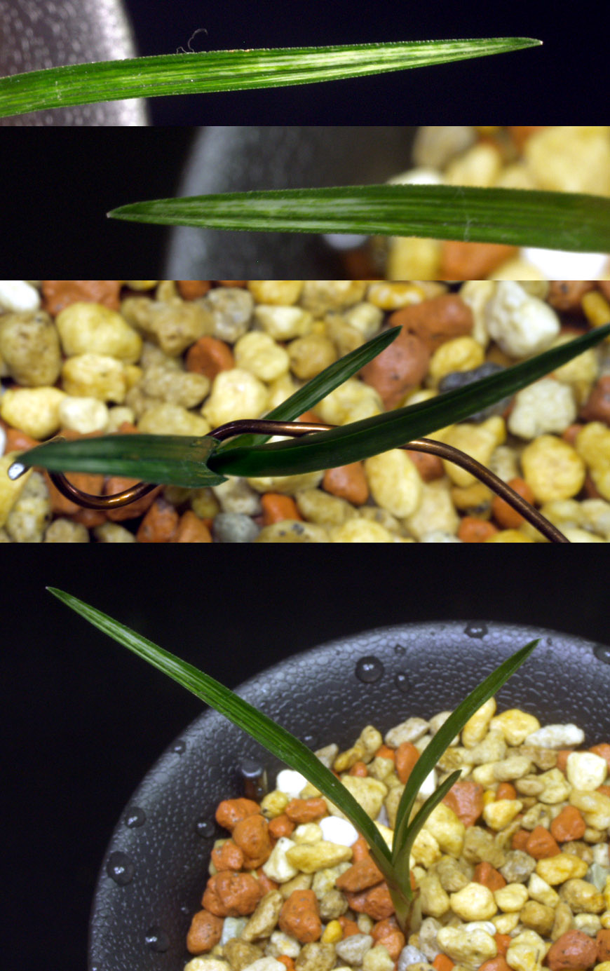 ������ ū������ �� �� �ֽ��ϴ�.