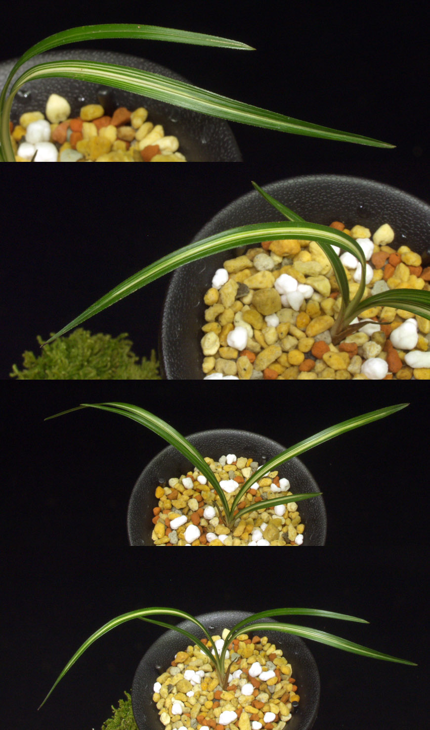 ������ ū������ �� �� �ֽ��ϴ�.