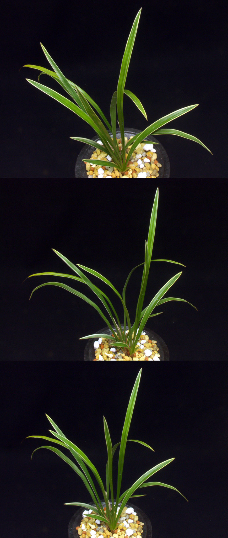 ������ ū������ �� �� �ֽ��ϴ�.