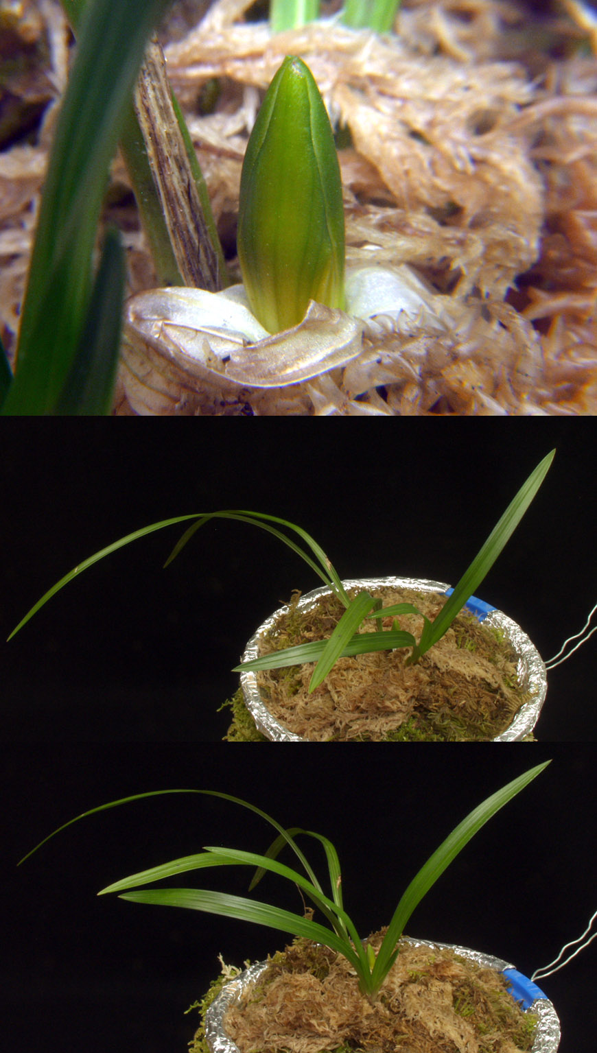 ������ ū������ �� �� �ֽ��ϴ�.