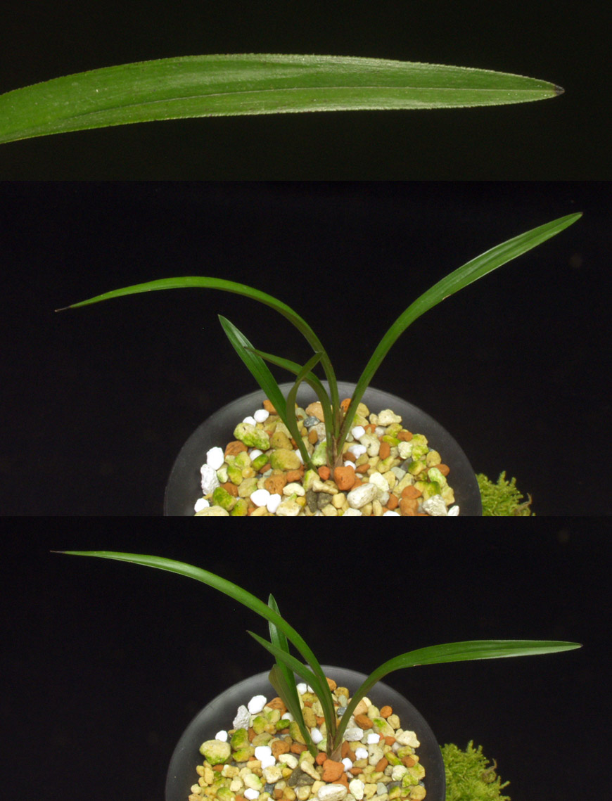 ������ ū������ �� �� �ֽ��ϴ�.